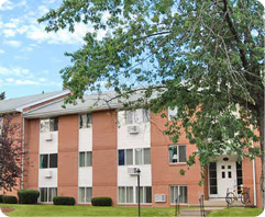 Portfolio Image