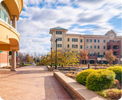 Portfolio Image